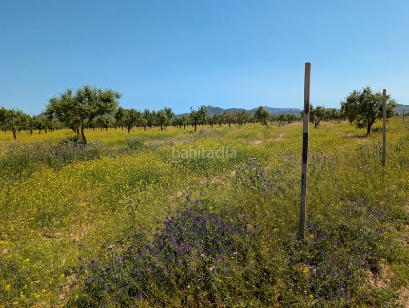 Foto c50ede0f-dba4-4d33-b765-bfe5f9add2e5. Mas avec cheminée parking dans Campo Nubla Cartagena