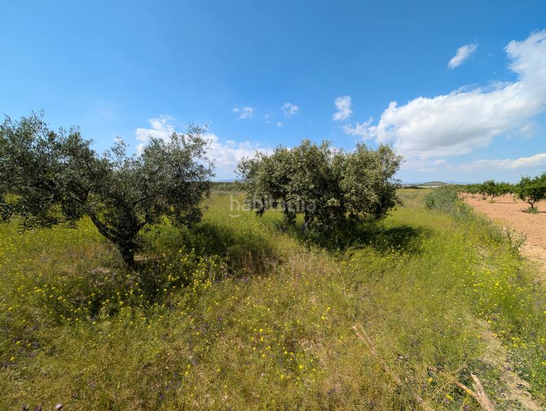 Foto cd80bc1e-5bc5-4421-aa45-892630205e8e. Mas avec cheminée parking dans Campo Nubla Cartagena