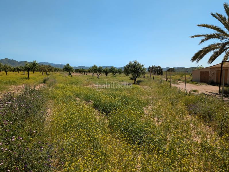 Foto d67bc9c9-54f3-4d55-a489-51a8b0d6c36b. Mas avec cheminée parking dans Campo Nubla Cartagena