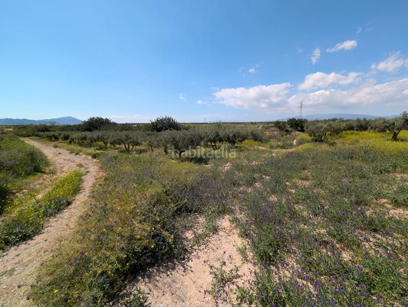Foto e7a8023c-a74d-4c06-87e6-7174faabe2f5. Mas avec cheminée parking dans Campo Nubla Cartagena