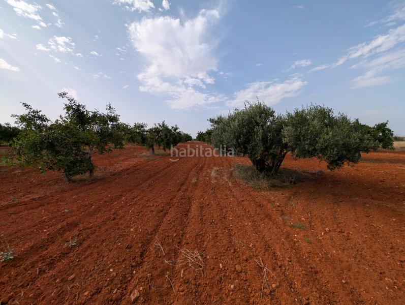 Foto 11535c29-0f8d-4cf7-866e-1ec3cdb4b716. Finca rústica se vende finca en los carriones (cuesta blanca) en Cartagena