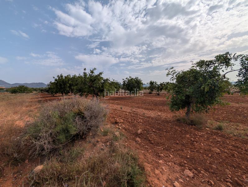 Foto 18d2dda0-7290-4cc0-879b-e72a89273ee6. Finca rústica se vende finca en los carriones (cuesta blanca) en Cartagena
