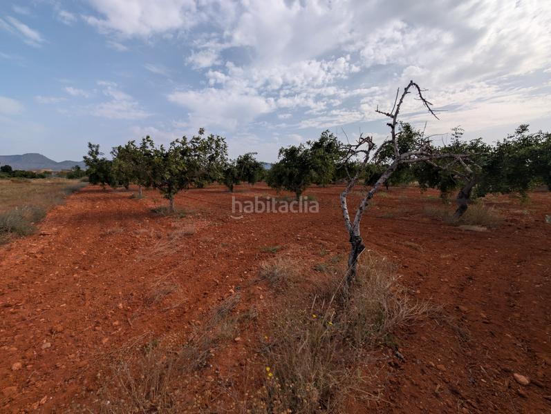 Foto 34548c42-0292-44eb-a547-08e6383ee50c. Finca rústica se vende finca en los carriones (cuesta blanca) en Cartagena