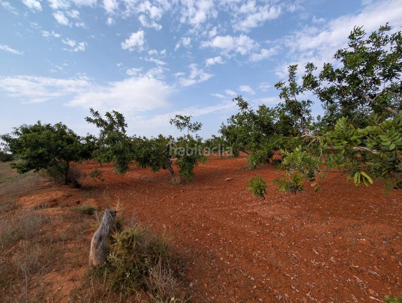 Foto 4d59401a-fa1d-4b28-a735-807b7035c74f. Finca rústica se vende finca en los carriones (cuesta blanca) en Cartagena