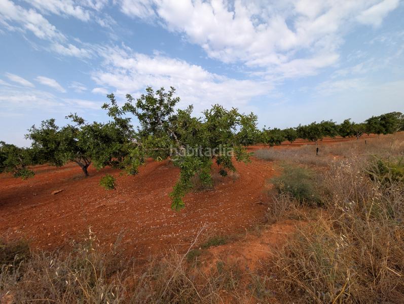 Foto 8418e0c7-e84d-43ad-ac18-693b3ae07df5. Finca rústica se vende finca en los carriones (cuesta blanca) en Cartagena