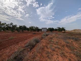 Finca rústica  Rm-332. Se vende finca en los carriones (cuesta blanca)