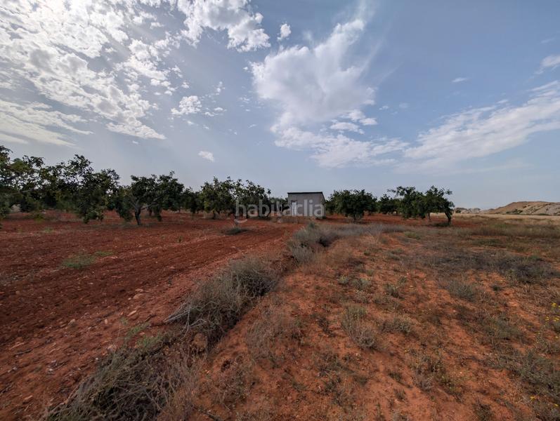 Foto f3e825a5-ab27-4498-afb6-b67bb2e50b4e. Finca rústica se vende finca en los carriones (cuesta blanca) en Cartagena