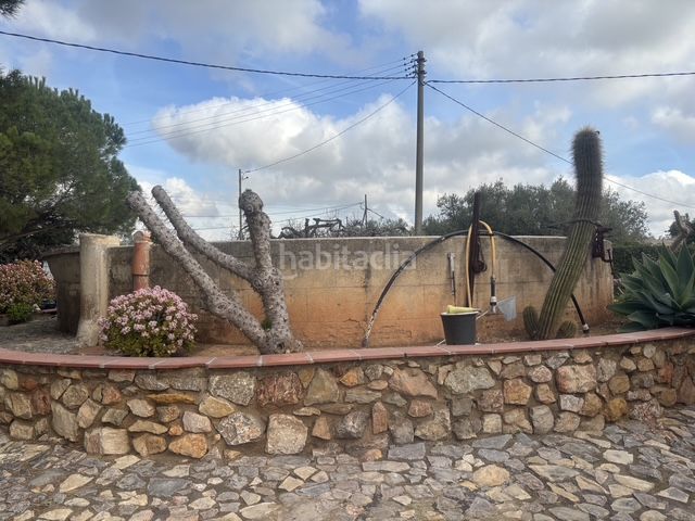 Foto 225155ec-4a6e-4b3a-82f4-110b59bde8d7. Finca rústica a carrer del morell 20 a Llevant Reus