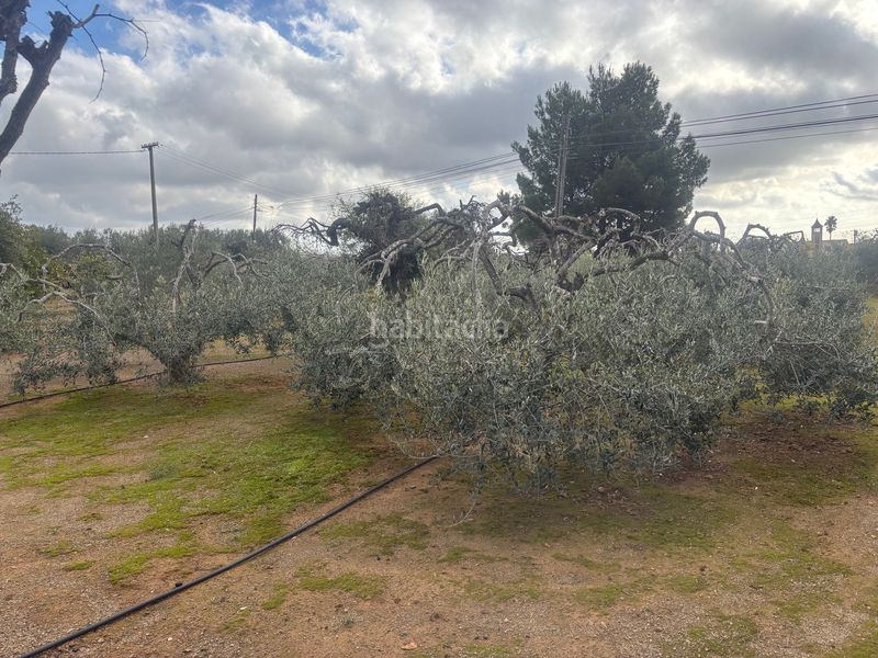 Foto 546f4b82-d5b7-4760-8870-9f9d2f6a77ef. Finca rústica a carrer del morell 20 a Llevant Reus