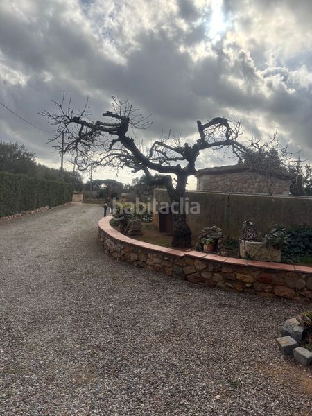Foto 9f04c251-51b8-4c92-9793-5ae4ad0b3ffa. Finca rústica a carrer del morell 20 a Llevant Reus