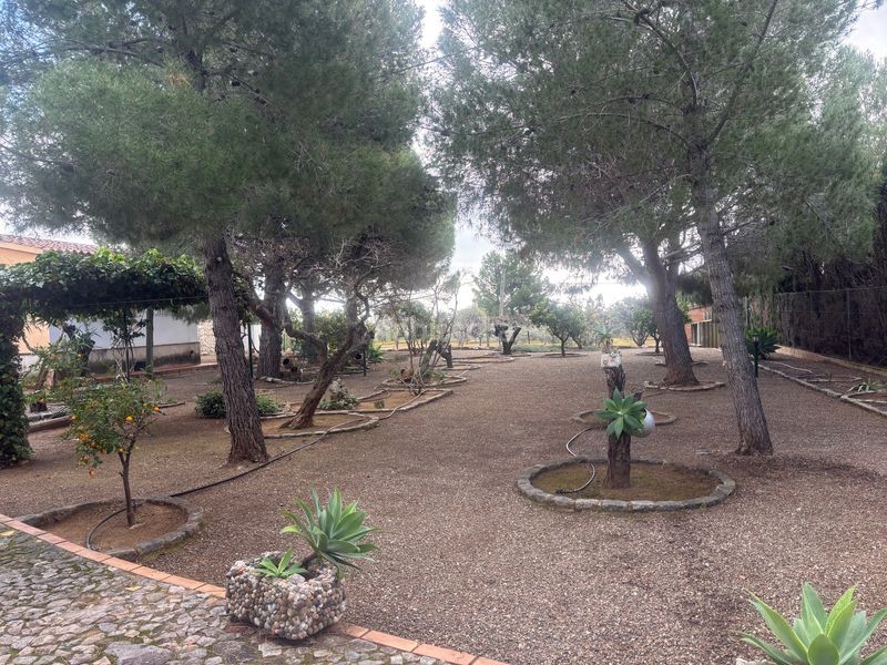 Foto b2d10115-5b94-45ae-a54d-2cdaba2ebf24. Finca rústica a carrer del morell 20 a Llevant Reus