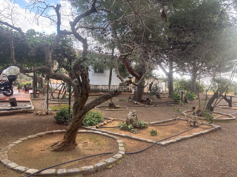 Foto cc18272b-5c90-4e9a-a40e-396ebcd6b39f. Finca rústica a carrer del morell 20 a Llevant Reus