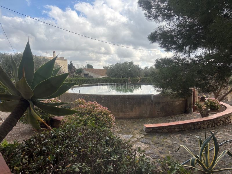 Foto f6c03a6d-5632-4d34-902e-d38ff48bc728. Finca rústica a carrer del morell 20 a Llevant Reus