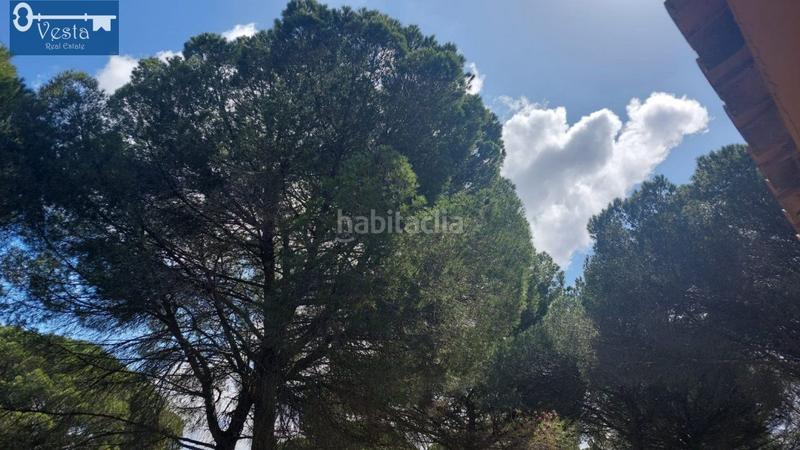 Foto 4c8e62cf-5a75-4e8e-808d-3b706c8e0337. Masia amb aparcament a El Almedral Puerto Real