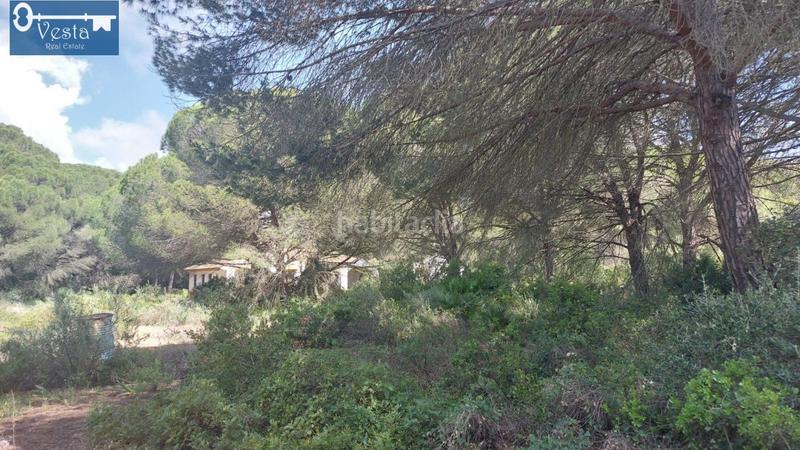 Foto 5f9b785c-04b7-4f8d-ae74-7adfda8f7939. Masia amb aparcament a El Almedral Puerto Real