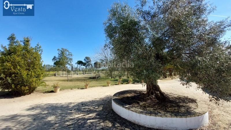 Foto 4f560f2e-87d0-44f0-861e-cb813bb9fe15. Masía finca rustica en zona norte en Centro Jerez de la Frontera