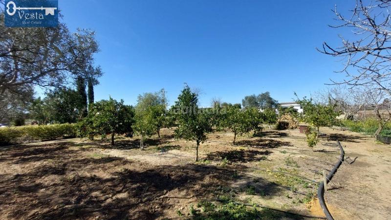 Foto 70ddb8b2-9068-4d98-9365-6488cc6fe323. Masía finca rustica en zona norte en Centro Jerez de la Frontera