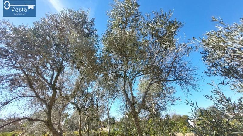 Foto 887c33b8-f3a4-483f-b885-36db85a6c9ec. Masía finca rustica en zona norte en Centro Jerez de la Frontera