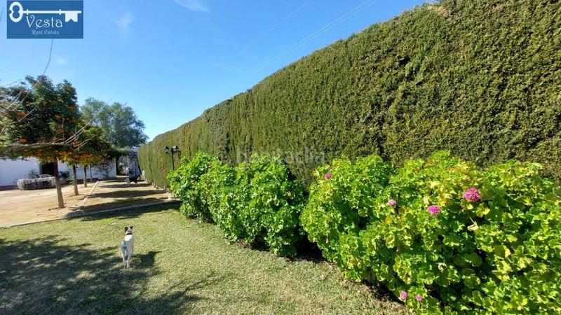 Foto c93cd5b2-67d3-48da-99ea-da78b73a661b. Masía finca rustica en zona norte en Centro Jerez de la Frontera