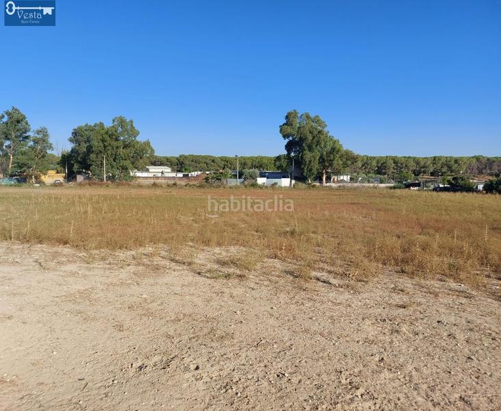 Foto f8b168c6-9da7-474d-8897-c4d20bad5689. Mas avec parking piscine dans El Rocío - La Milagrosa Jerez de la Frontera