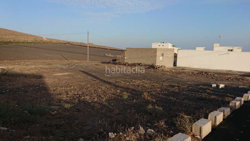 Foto 5ed3b87f-e8b2-4269-9082-a8ec12b289dc. Finca rústica en Conil - Vega del Tegoyo Tías