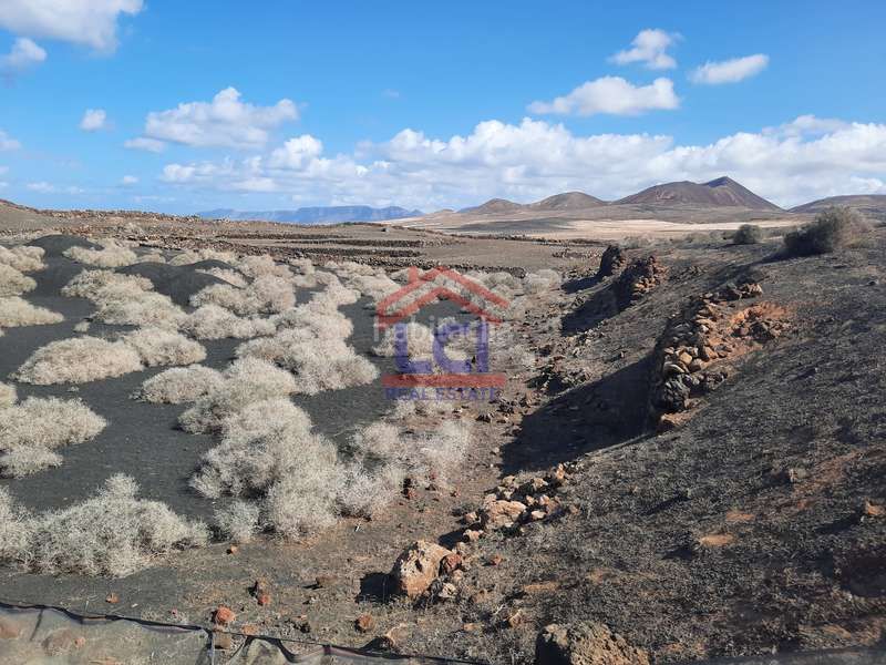 Foto fb76fa7c-fe59-41da-819d-bf5619135afd. Finca rústica a Soo Teguise