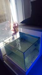 Umzug Geschäftsraum in N/a. Traspaso salon de belleza con fish spa