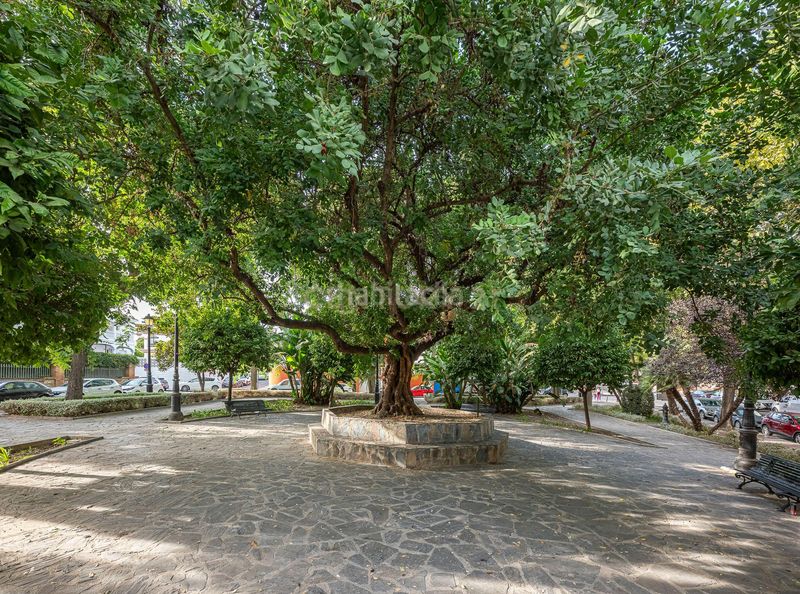 Foto 4a50da8c-590c-41f0-b348-e3649ff9570f. Terreny residencial a San Pedro de Alcántara Pueblo Marbella