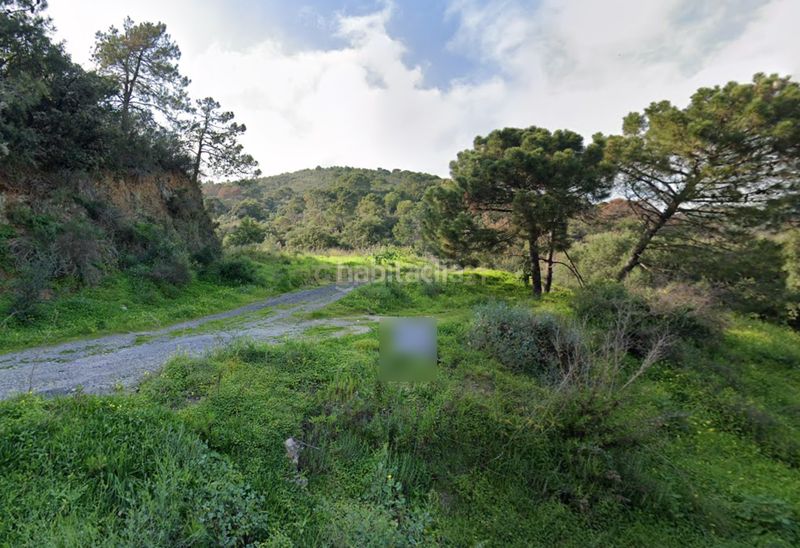 Foto c04dd3e0-3536-43f3-a226-14836ebc6c39. Finca rústica a altos de Estepona Estepona