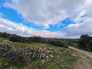 Wohngrundstück in Pinilla