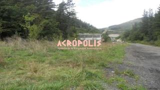 Residential Plot in Elgeta