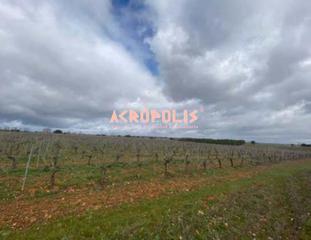 Residential Plot in Chozas de Abajo