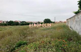 Rural plot in San Isidro - Espíritu Santo