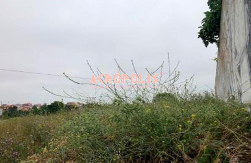 Foto fe646196-fff6-44a5-a5eb-a895071c8ed5. Finca rústica en San Isidro - Espíritu Santo Zamora