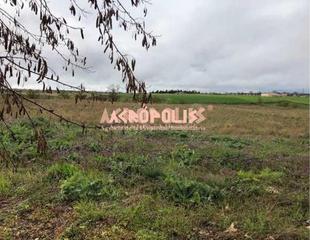 Propriété à Toro