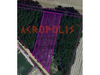 Rural plot in Benavente