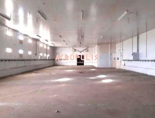 Fabrikhalle  Avenida puente de hierro