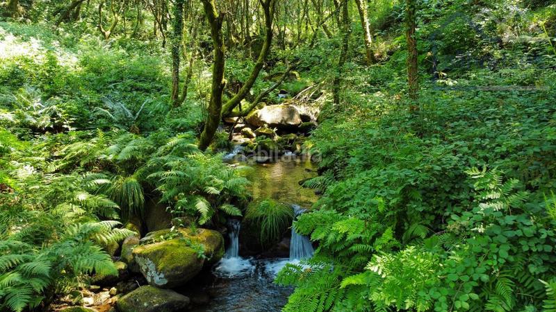 Foto 6e3f6c13-6f23-4436-ac79-7804185af94d. Terreno residencial en Covelo (O)