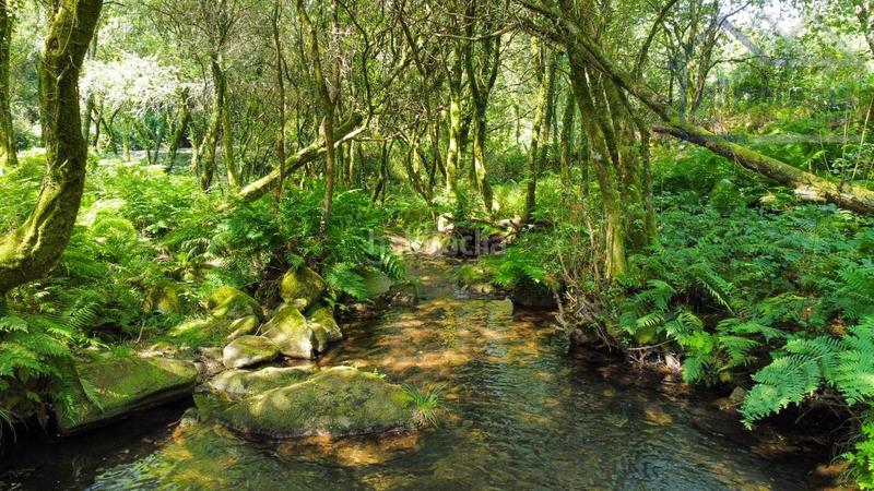 Foto d34ba580-2869-4d90-b152-3dabb1002915. Terreno residencial en Covelo (O)