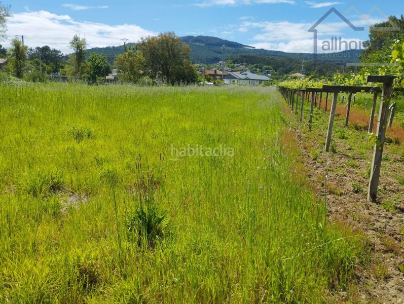 Foto 078823fa-5460-46d2-9069-b191a446b7e7. Terreny residencial a Rosal (O)