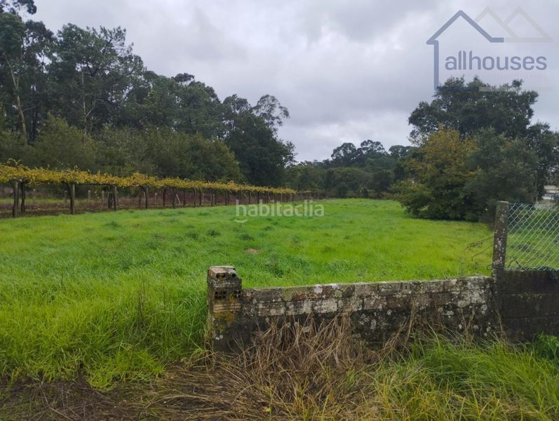 Foto 171276ee-5997-42c1-b305-80f8e73b5ce7. Terreny residencial a Rosal (O)