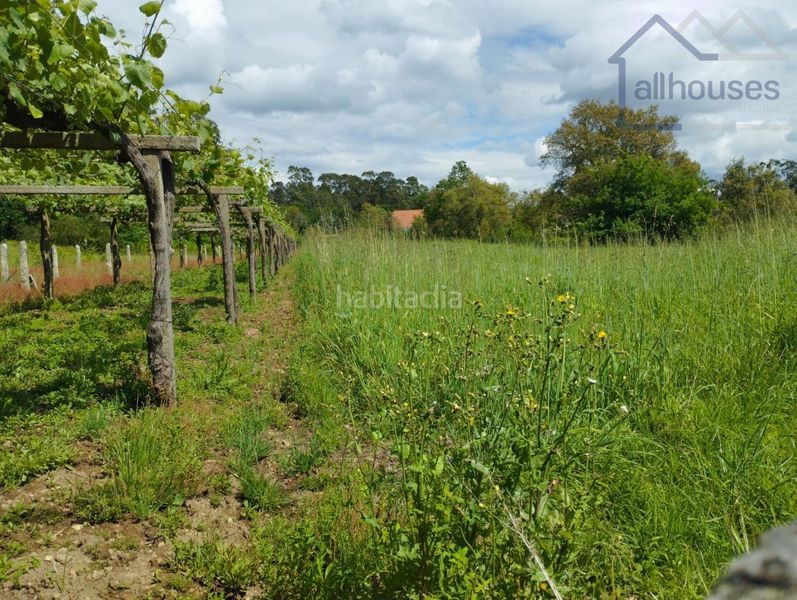 Foto bf562083-d13d-463b-a3ae-6a97e0392db5. Terreny residencial a Rosal (O)