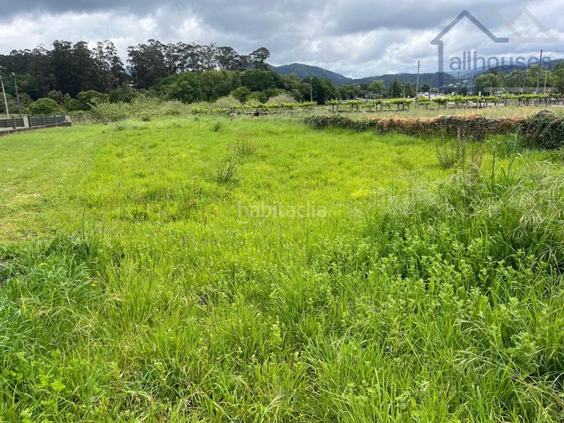 Foto f8b7d337-1fd8-4fa6-9e4f-4c273245bcbd. Terreny residencial a Rosal (O)