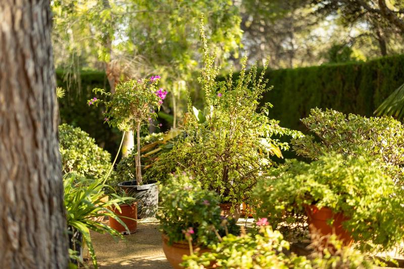 Foto 0bfa3ec3-3d62-4ff2-8c7c-0840cd45141c. Chalet con riscaldamento piscina in Picassent