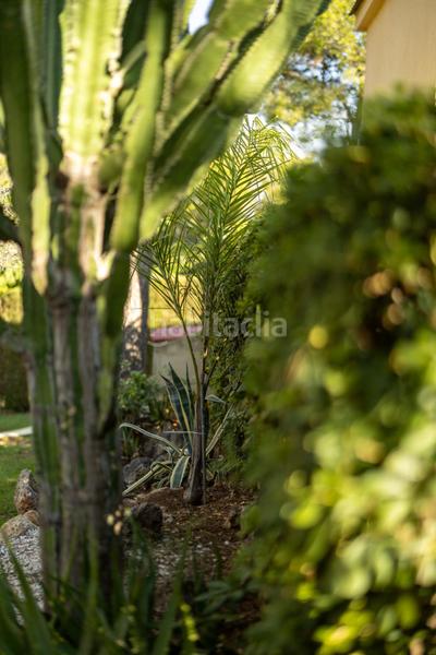 Foto 5feb30b3-5317-45b7-ac1b-6cd8b5782480. Chalet con riscaldamento piscina in Picassent