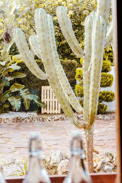 Foto 29309660-54cf-4785-a469-3a41c51c9c48. Miete chalet mit heizung parking pool in Picassent