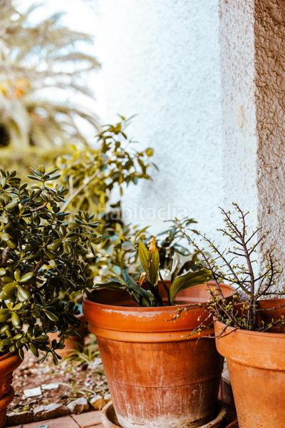 Foto 78d93f6b-3a00-4ab5-bc34-383174a772d9. Miete chalet mit heizung parking pool in Picassent