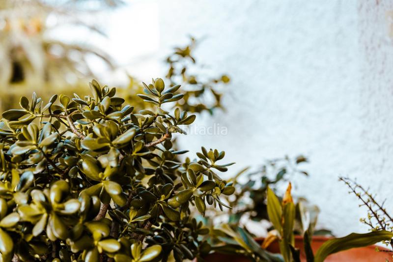 Foto 7b0d053d-2f33-4068-be8a-89db12cc67a7. Miete chalet mit heizung parking pool in Picassent