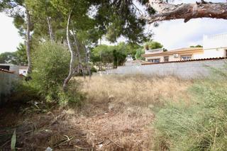 Terreno residenziale in El Pinar de Campoverde