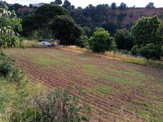 Propriété à Polígono polígono 10 parcela 38 el castell. castellar del  38. Finca rústica agraria